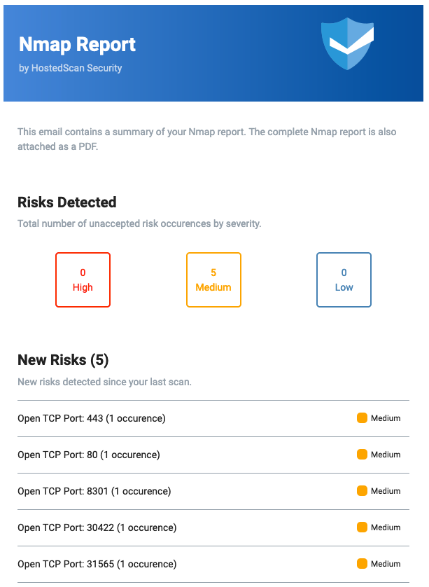 Example Online Port Scanner Report Screenshot