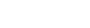 Probely, now Snyk API & Web