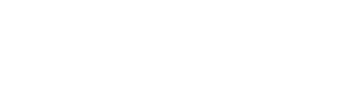 Probely, now Snyk API & Web